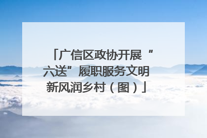 广信区政协开展“六送”履职服务文明新风润乡村（图）