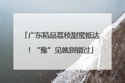 广东精品荔枝甜蜜抵达！“豫”见就别错过