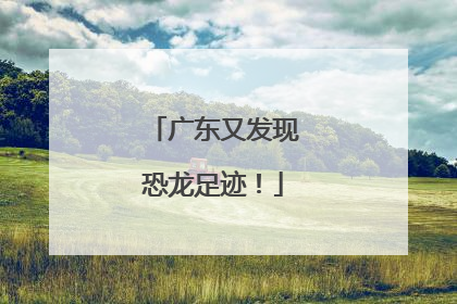 广东又发现恐龙足迹！