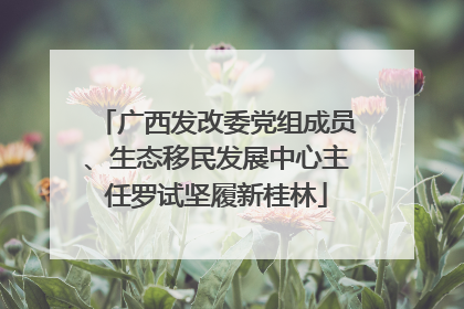 广西发改委党组成员、生态移民发展中心主任罗试坚履新桂林