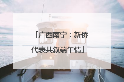 广西南宁：新侨代表共叙端午情
