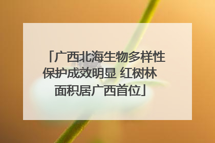 广西北海生物多样性保护成效明显 红树林面积居广西首位