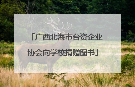 广西北海市台资企业协会向学校捐赠图书