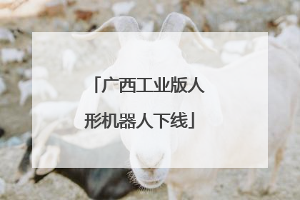 广西工业版人形机器人下线