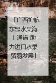 广西护航东盟水果海上通道 助力进口水果贸易发展