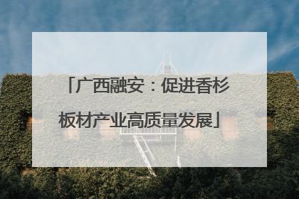 广西融安：促进香杉板材产业高质量发展