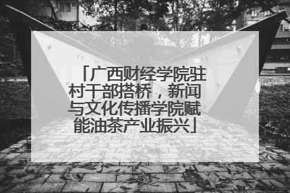 广西财经学院驻村干部搭桥，新闻与文化传播学院赋能油茶产业振兴