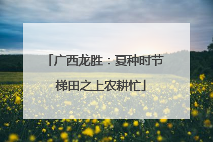 广西龙胜：夏种时节 梯田之上农耕忙