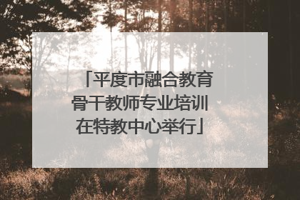平度市融合教育骨干教师专业培训在特教中心举行