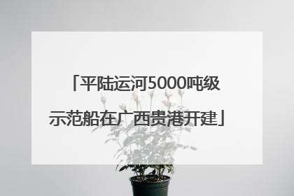 平陆运河5000吨级示范船在广西贵港开建