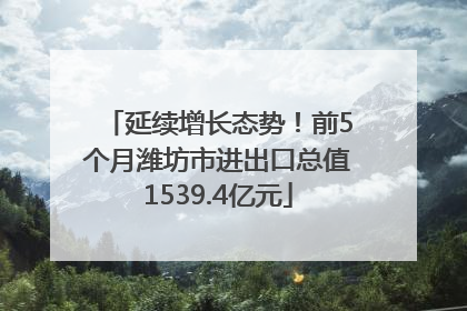 延续增长态势！前5个月潍坊市进出口总值1539.4亿元
