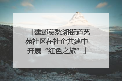 建邺莫愁湖街道艺苑社区在社企共建中开展“红色之旅”