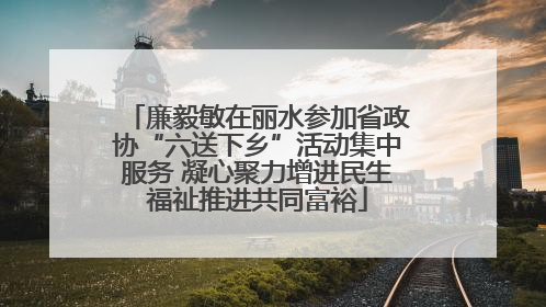 廉毅敏在丽水参加省政协“六送下乡”活动集中服务 凝心聚力增进民生福祉推进共同富裕