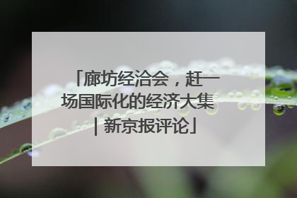 廊坊经洽会，赶一场国际化的经济大集｜新京报评论