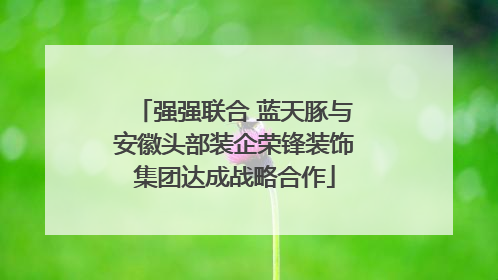 强强联合 蓝天豚与安徽头部装企荣锋装饰集团达成战略合作