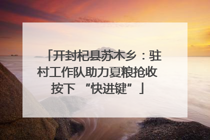 开封杞县苏木乡：驻村工作队助力夏粮抢收按下 “快进键”