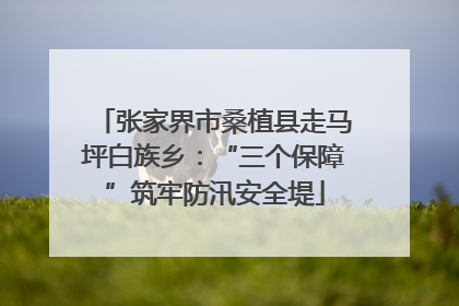 张家界市桑植县走马坪白族乡：“三个保障”筑牢防汛安全堤