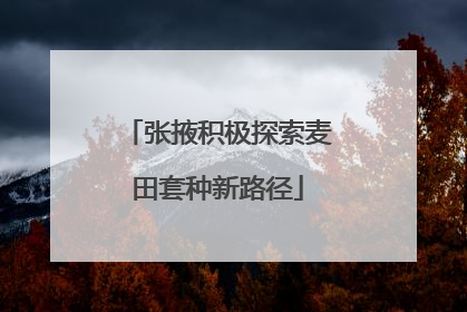 张掖积极探索麦田套种新路径