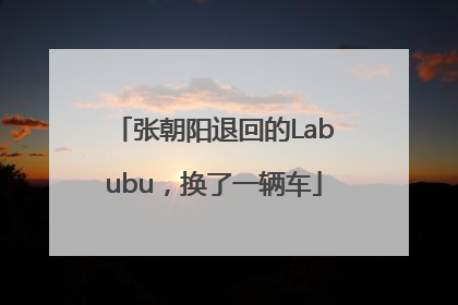 张朝阳退回的Labubu，换了一辆车
