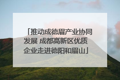 推动成德眉产业协同发展 成都高新区优质企业走进德阳和眉山