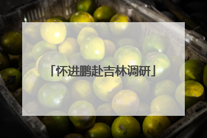怀进鹏赴吉林调研