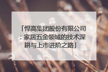 悍高集团股份有限公司：家居五金领域的技术深耕与上市进阶之路