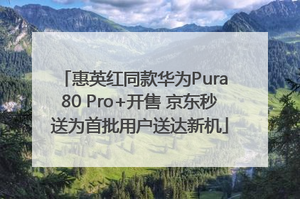 惠英红同款华为Pura 80 Pro+开售 京东秒送为首批用户送达新机