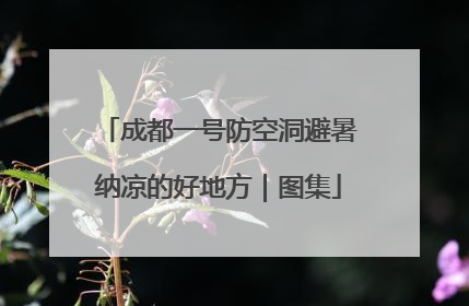 成都一号防空洞避暑纳凉的好地方｜图集