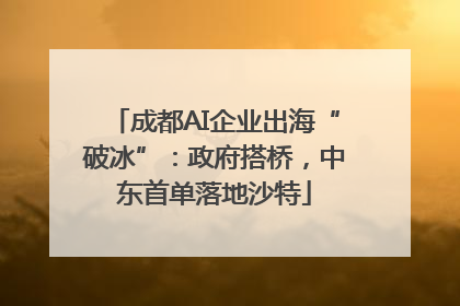 成都AI企业出海“破冰”：政府搭桥，中东首单落地沙特