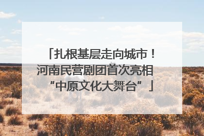 扎根基层走向城市！河南民营剧团首次亮相“中原文化大舞台”