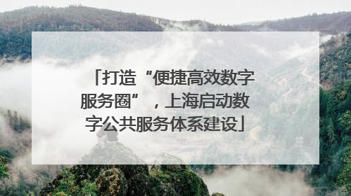 打造“便捷高效数字服务圈”，上海启动数字公共服务体系建设
