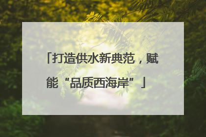 打造供水新典范，赋能“品质西海岸”