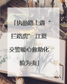 执勤路上遇“拦路虎” 江夏交警暖心救助化险为夷