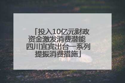 投入10亿元财政资金激发消费潜能 四川宜宾出台一系列提振消费措施