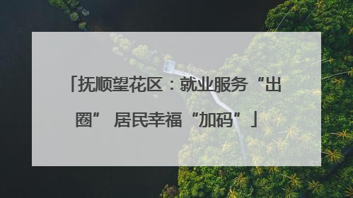 抚顺望花区：就业服务“出圈” 居民幸福“加码”