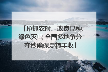 抢抓农时、改良品种、绿色灭虫 全国多地争分夺秒确保夏粮丰收