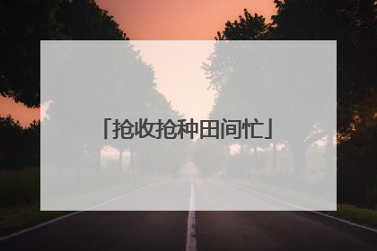 抢收抢种田间忙
