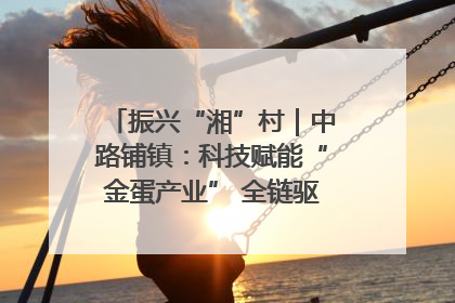 振兴“湘”村｜中路铺镇：科技赋能“金蛋产业” 全链驱动乡村振兴