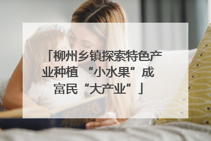 柳州乡镇探索特色产业种植 “小水果”成富民“大产业”