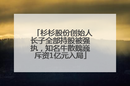 杉杉股份创始人长子全部持股被强执，知名牛散魏巍斥资1亿元入局