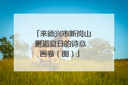 来德兴市新岗山 邂逅夏日的诗意画卷（图）