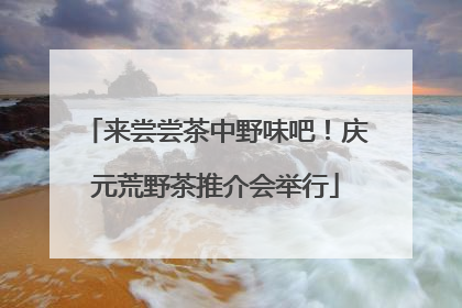来尝尝茶中野味吧！庆元荒野茶推介会举行