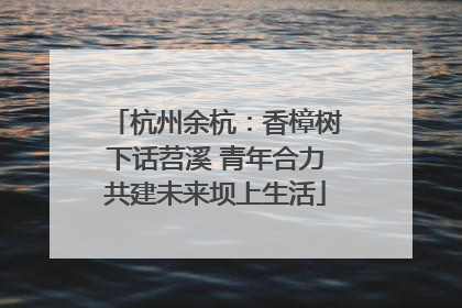 杭州余杭：香樟树下话苕溪 青年合力共建未来坝上生活