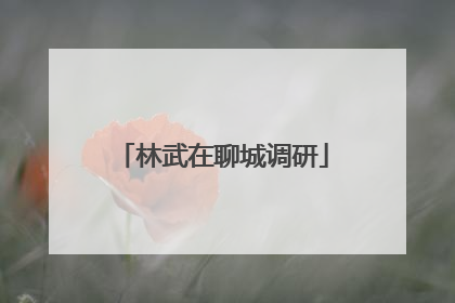 林武在聊城调研