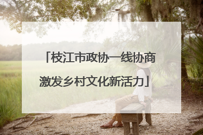 枝江市政协一线协商激发乡村文化新活力