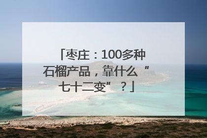 枣庄：100多种石榴产品，靠什么“七十二变”？
