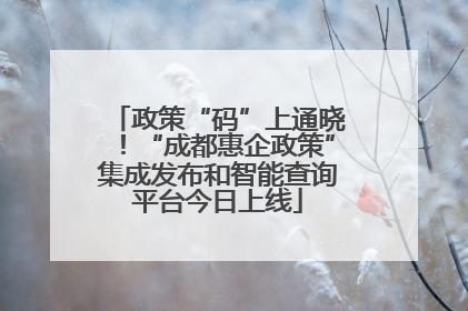 政策“码”上通晓！“成都惠企政策”集成发布和智能查询平台今日上线