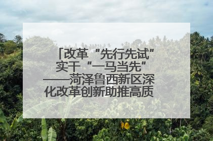改革“先行先试” 实干“一马当先”——菏泽鲁西新区深化改革创新助推高质量发展纪实