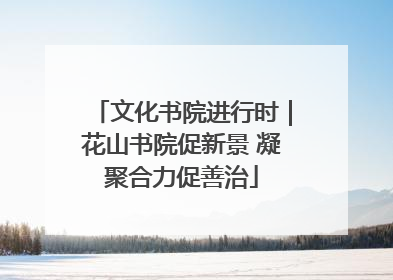 文化书院进行时｜花山书院促新景 凝聚合力促善治