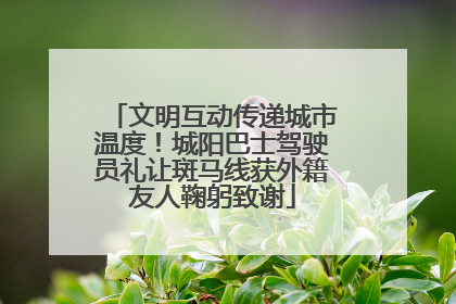 文明互动传递城市温度！城阳巴士驾驶员礼让斑马线获外籍友人鞠躬致谢